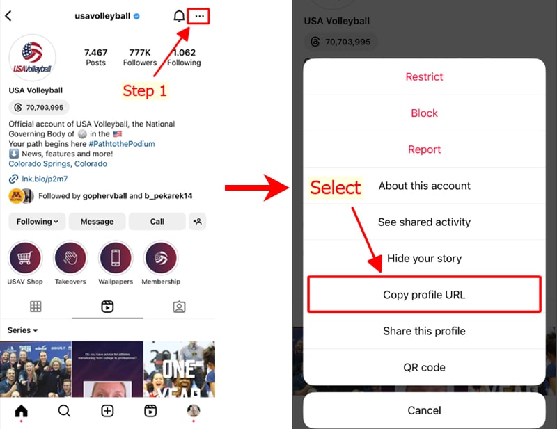 copy profile link on instagram app