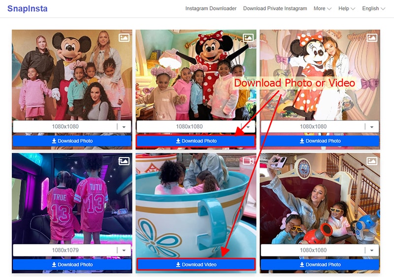 paste instagram link into fastdl and press download button