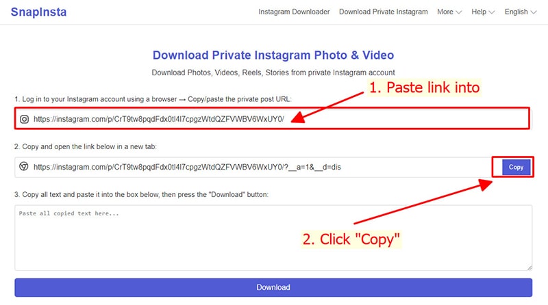 paste instagram link into fastdl